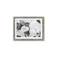 Picture of White Blooms _GroupedProduct_Rectangle_Landscape_Photography _GroupedProduct_Rectangle_Landscape_Framed_Matted_