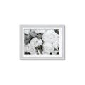 Picture of White Blooms _GroupedProduct_Rectangle_Landscape_Photography _GroupedProduct_Rectangle_Landscape_Framed_Matted_