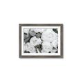 Picture of White Blooms _GroupedProduct_Rectangle_Landscape_Photography _GroupedProduct_Rectangle_Landscape_Framed_Matted_
