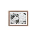 Picture of White Blooms _GroupedProduct_Rectangle_Landscape_Photography _GroupedProduct_Rectangle_Landscape_Framed_Matted_