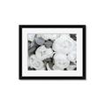 Picture of White Blooms _GroupedProduct_Rectangle_Landscape_Photography _GroupedProduct_Rectangle_Landscape_Framed_Matted_