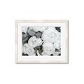 Picture of White Blooms _GroupedProduct_Rectangle_Landscape_Photography _GroupedProduct_Rectangle_Landscape_Framed_Matted_