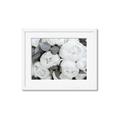 Picture of White Blooms _GroupedProduct_Rectangle_Landscape_Photography _GroupedProduct_Rectangle_Landscape_Framed_Matted_
