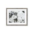 Picture of White Blooms _GroupedProduct_Rectangle_Landscape_Photography _GroupedProduct_Rectangle_Landscape_Framed_Matted_