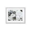 Picture of White Blooms _GroupedProduct_Rectangle_Landscape_Photography _GroupedProduct_Rectangle_Landscape_Framed_Matted_