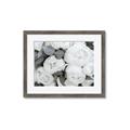 Picture of White Blooms _GroupedProduct_Rectangle_Landscape_Photography _GroupedProduct_Rectangle_Landscape_Framed_Matted_