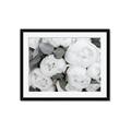 Picture of White Blooms _GroupedProduct_Rectangle_Landscape_Photography _GroupedProduct_Rectangle_Landscape_Framed_Matted_