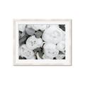 Picture of White Blooms _GroupedProduct_Rectangle_Landscape_Photography _GroupedProduct_Rectangle_Landscape_Framed_Matted_