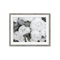 Picture of White Blooms _GroupedProduct_Rectangle_Landscape_Photography _GroupedProduct_Rectangle_Landscape_Framed_Matted_