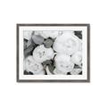 Picture of White Blooms _GroupedProduct_Rectangle_Landscape_Photography _GroupedProduct_Rectangle_Landscape_Framed_Matted_