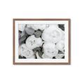 Picture of White Blooms _GroupedProduct_Rectangle_Landscape_Photography _GroupedProduct_Rectangle_Landscape_Framed_Matted_