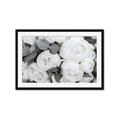 Picture of White Blooms _GroupedProduct_Rectangle_Landscape_Photography _GroupedProduct_Rectangle_Landscape_Framed_Matted_