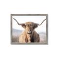 Picture of Shaggy Bull II _GroupedProduct_Rectangle_Landscape_Photography _GroupedProduct_Rectangle_Landscape_Framed_Matted_