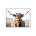 Picture of Shaggy Bull II _GroupedProduct_Rectangle_Landscape_Photography _GroupedProduct_Rectangle_Landscape_Framed_Matted_