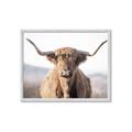 Picture of Shaggy Bull II _GroupedProduct_Rectangle_Landscape_Photography _GroupedProduct_Rectangle_Landscape_Framed_Matted_