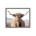 Picture of Shaggy Bull II _GroupedProduct_Rectangle_Landscape_Photography _GroupedProduct_Rectangle_Landscape_Framed_Matted_