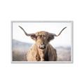 Picture of Shaggy Bull II _GroupedProduct_Rectangle_Landscape_Photography _GroupedProduct_Rectangle_Landscape_Framed_Matted_