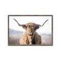 Picture of Shaggy Bull II _GroupedProduct_Rectangle_Landscape_Photography _GroupedProduct_Rectangle_Landscape_Framed_Matted_