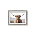 Picture of Shaggy Bull II _GroupedProduct_Rectangle_Landscape_Photography _GroupedProduct_Rectangle_Landscape_Framed_Matted_