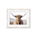 Picture of Shaggy Bull II _GroupedProduct_Rectangle_Landscape_Photography _GroupedProduct_Rectangle_Landscape_Framed_Matted_
