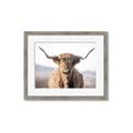 Picture of Shaggy Bull II _GroupedProduct_Rectangle_Landscape_Photography _GroupedProduct_Rectangle_Landscape_Framed_Matted_