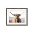 Picture of Shaggy Bull II _GroupedProduct_Rectangle_Landscape_Photography _GroupedProduct_Rectangle_Landscape_Framed_Matted_