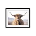 Picture of Shaggy Bull II _GroupedProduct_Rectangle_Landscape_Photography _GroupedProduct_Rectangle_Landscape_Framed_Matted_