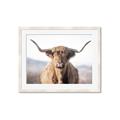 Picture of Shaggy Bull II _GroupedProduct_Rectangle_Landscape_Photography _GroupedProduct_Rectangle_Landscape_Framed_Matted_