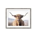 Picture of Shaggy Bull II _GroupedProduct_Rectangle_Landscape_Photography _GroupedProduct_Rectangle_Landscape_Framed_Matted_