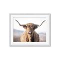 Picture of Shaggy Bull II _GroupedProduct_Rectangle_Landscape_Photography _GroupedProduct_Rectangle_Landscape_Framed_Matted_