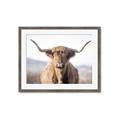 Picture of Shaggy Bull II _GroupedProduct_Rectangle_Landscape_Photography _GroupedProduct_Rectangle_Landscape_Framed_Matted_