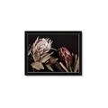 Picture of Beautiful Blooms _GroupedProduct_Rectangle_Landscape_Photography _GroupedProduct_Rectangle_Landscape_Framed_Matted_