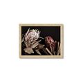 Picture of Beautiful Blooms _GroupedProduct_Rectangle_Landscape_Photography _GroupedProduct_Rectangle_Landscape_Framed_Matted_