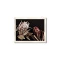 Picture of Beautiful Blooms _GroupedProduct_Rectangle_Landscape_Photography _GroupedProduct_Rectangle_Landscape_Framed_Matted_