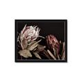 Picture of Beautiful Blooms _GroupedProduct_Rectangle_Landscape_Photography _GroupedProduct_Rectangle_Landscape_Framed_Matted_