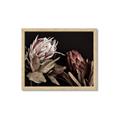 Picture of Beautiful Blooms _GroupedProduct_Rectangle_Landscape_Photography _GroupedProduct_Rectangle_Landscape_Framed_Matted_