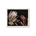 Picture of Beautiful Blooms _GroupedProduct_Rectangle_Landscape_Photography _GroupedProduct_Rectangle_Landscape_Framed_Matted_