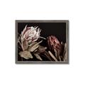 Picture of Beautiful Blooms _GroupedProduct_Rectangle_Landscape_Photography _GroupedProduct_Rectangle_Landscape_Framed_Matted_
