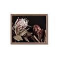 Picture of Beautiful Blooms _GroupedProduct_Rectangle_Landscape_Photography _GroupedProduct_Rectangle_Landscape_Framed_Matted_