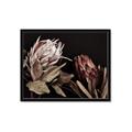 Picture of Beautiful Blooms _GroupedProduct_Rectangle_Landscape_Photography _GroupedProduct_Rectangle_Landscape_Framed_Matted_