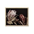 Picture of Beautiful Blooms _GroupedProduct_Rectangle_Landscape_Photography _GroupedProduct_Rectangle_Landscape_Framed_Matted_