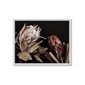 Picture of Beautiful Blooms _GroupedProduct_Rectangle_Landscape_Photography _GroupedProduct_Rectangle_Landscape_Framed_Matted_