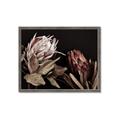 Picture of Beautiful Blooms _GroupedProduct_Rectangle_Landscape_Photography _GroupedProduct_Rectangle_Landscape_Framed_Matted_