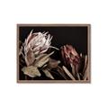 Picture of Beautiful Blooms _GroupedProduct_Rectangle_Landscape_Photography _GroupedProduct_Rectangle_Landscape_Framed_Matted_