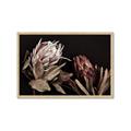 Picture of Beautiful Blooms _GroupedProduct_Rectangle_Landscape_Photography _GroupedProduct_Rectangle_Landscape_Framed_Matted_