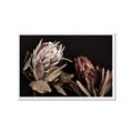 Picture of Beautiful Blooms _GroupedProduct_Rectangle_Landscape_Photography _GroupedProduct_Rectangle_Landscape_Framed_Matted_