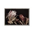 Picture of Beautiful Blooms _GroupedProduct_Rectangle_Landscape_Photography _GroupedProduct_Rectangle_Landscape_Framed_Matted_