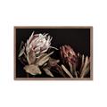 Picture of Beautiful Blooms _GroupedProduct_Rectangle_Landscape_Photography _GroupedProduct_Rectangle_Landscape_Framed_Matted_