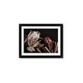 Picture of Beautiful Blooms _GroupedProduct_Rectangle_Landscape_Photography _GroupedProduct_Rectangle_Landscape_Framed_Matted_