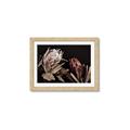 Picture of Beautiful Blooms _GroupedProduct_Rectangle_Landscape_Photography _GroupedProduct_Rectangle_Landscape_Framed_Matted_